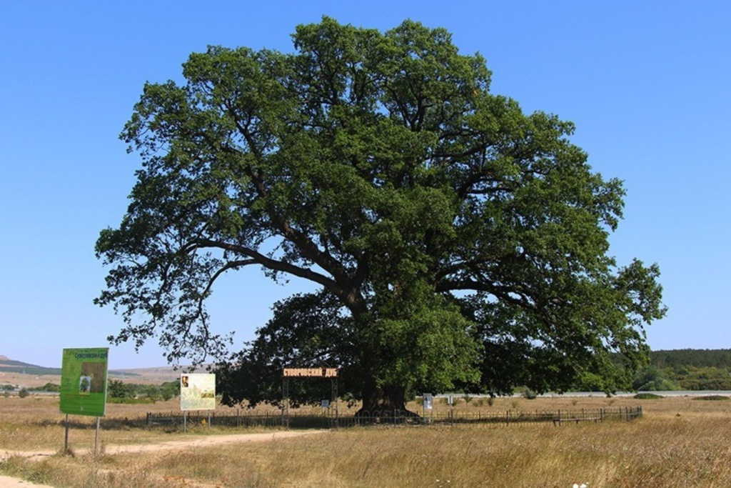 2025-08-01-10-30-14_MRzNakRpSAueKLIwhIDEXBcNrSMKE_14gY_Dkqu71B5BMkYQi_cvbC8GAfxIxGLeRIE6y3I31kn6DXFeGQ3pyQ3H.jpg 2025-08-01-10-30-14_MRzNakRpSAueKLIwhIDEXBcNrSMKE_14gY_Dkqu71B5BMkYQi_cvbC8GAfxIxGLeRIE6y3I31kn6DXFeGQ3pyQ3H.jpg