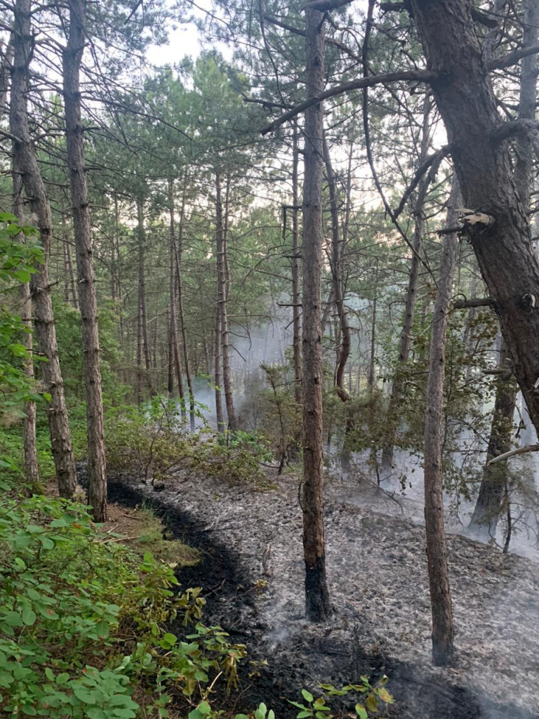 phpmhPX2E_1 (2).jpeg